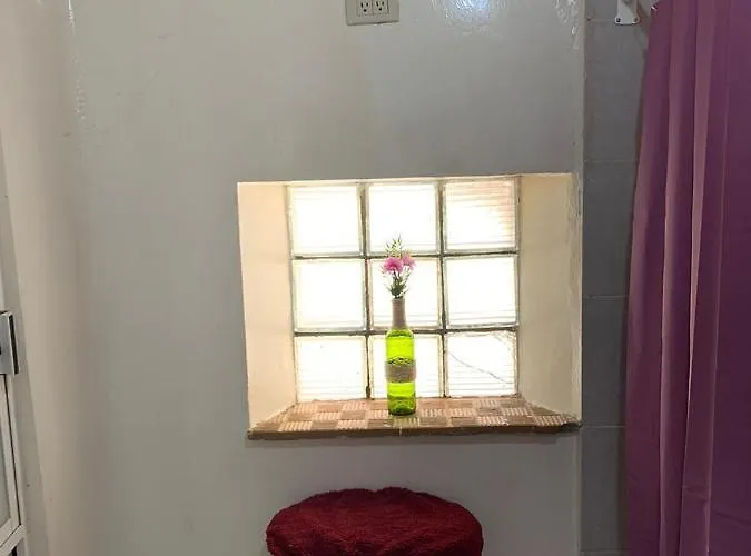 Apartment La Historica Cdmx Mexico City