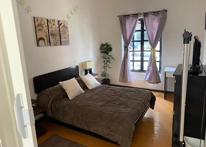 La Historica Cdmx Apartment *
